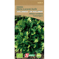 Semences Mâche De Hollande Bio SOMERS – Récolte Facile | SOMERS