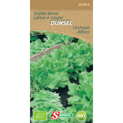 Semences Laitue Dunsel Bio – Récolte Facile | SOMERS