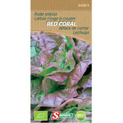 Semences Laitue Red Coral Bio – Cultivez Facilement | SOMERS