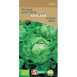 Semences Laitue Analena Bio – Croissance Rapide | SOMERS

