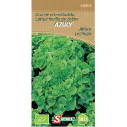 Semences Laitue Azuly Bio SOMERS – Bio & Savoureuse | SOMERS