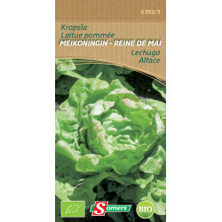 Semences Laitue Reine de Mai Bio – Récolte Facile | SOMERS