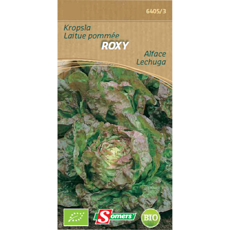 Semences de laitue pommée Roxy Bio SOMERS