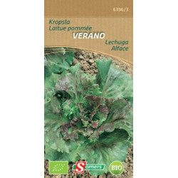 Semences Laitue Verano Bio – Récolte Facile | SOMERS

