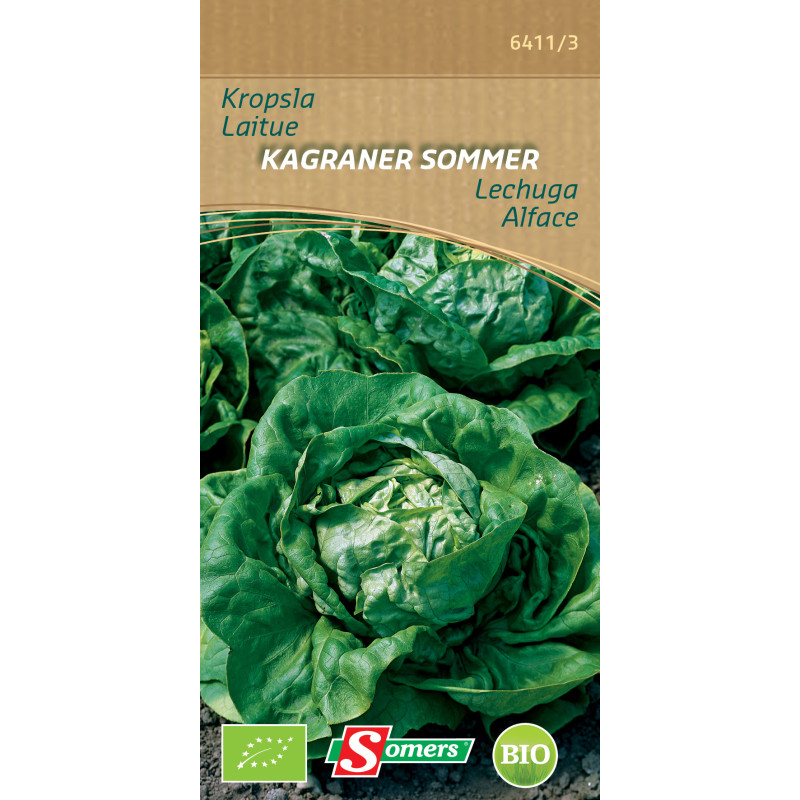 Semences de laitue Kagraner Sommer Bio SOMERS