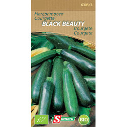 Semences de courgette Black Beauty Bio SOMERS