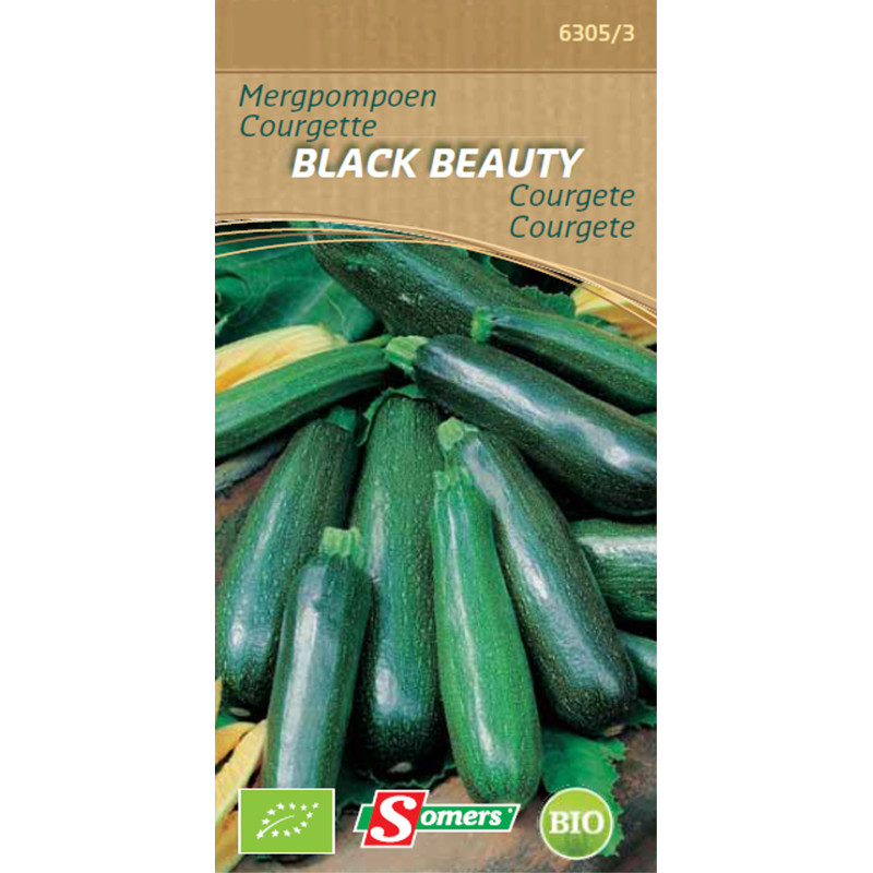 Semences de courgette Black Beauty Bio SOMERS