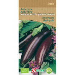 Semences Aubergine Violette Longue Bio SOMERS – Cultivez Facile | SOMERS