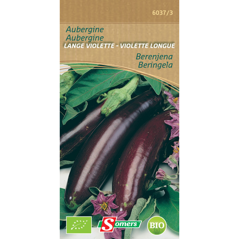 Semences d'aubergine Violette Longue Bio SOMERS