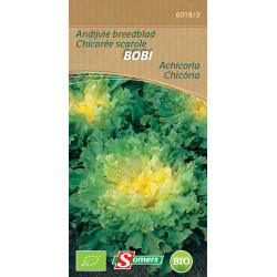 Semences Chicorée Scarole Bobi Bio – Qualité Bio | SOMERS

