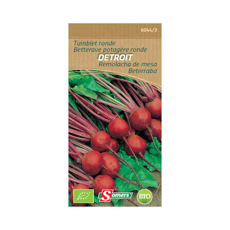 Semences de betterave ronde Detroit Bio SOMERS