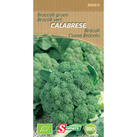 Semences de brocoli vert Calabrese Bio SOMERS