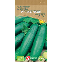 Semences concombre Marketmore Bio – Récolte Abondante | SOMERS