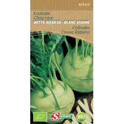 Semences Chou Rave Blanc Vienne Bio – Culture Facile | SOMERS

