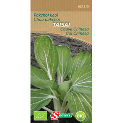 Semences Chou Pakchoi Taisai Bio – Bio & Savoureux | SOMERS