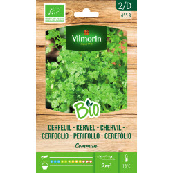 Semences Cerfeuil Commun Bio VILMORIN – Cultivez Facile | VILMORIN
