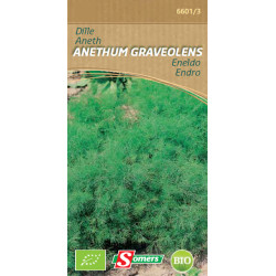 Semences d'aneth Bio SOMERS – Herbe aromatique | SOMERS