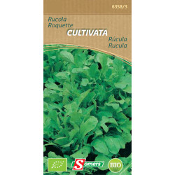 Semences Roquette Bio SOMERS – Cultivez Fraîcheur | SOMERS