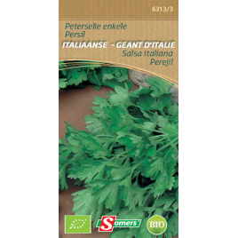 Persil Bio- Géant d'Italie - Botte de 100g - Fruits et Légumes