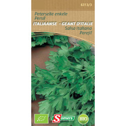 Semences Persil Géant d'Italie Bio – Culture Facile | SOMERS