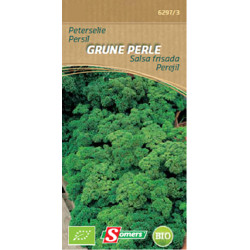 Semences de persil « Grüne Perle » bio – Facile à cultiver | SOMERS
