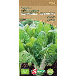 Semences de poirée Cardes Blanches Bio – Cultivez sainement | SOMERS