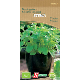 Semences de feuilles de miel Stevia Bio SOMERS