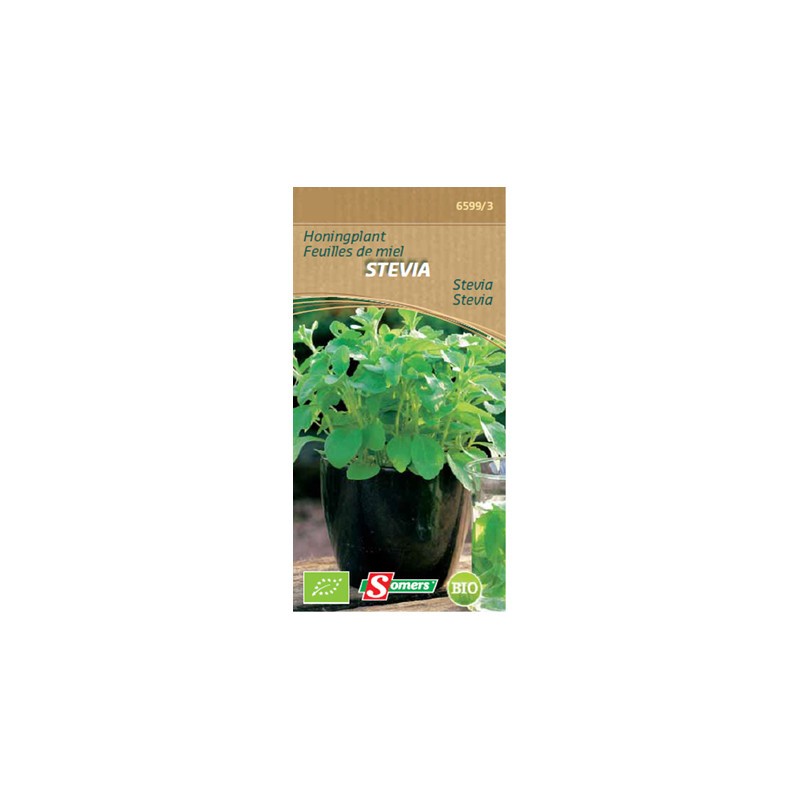 Semences de feuilles de miel Stevia Bio SOMERS