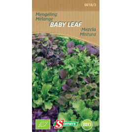 Semences de laitues diverses Baby Leaf Bio SOMERS