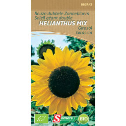 Semences Tournesol Géant Double Bio – Fleurs Éclatantes | SOMERS