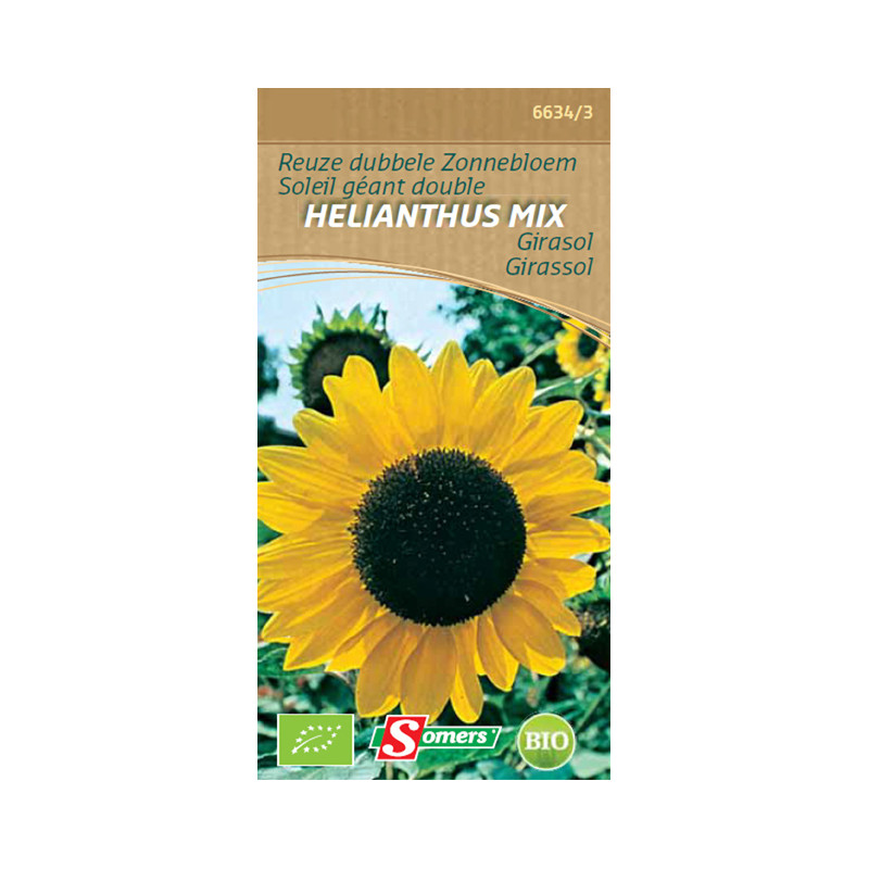 Semences de soleil géant double Helianthus Mix Bio SOMERS