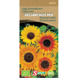 Semences de soleil nain Helianthus Mix Bio SOMERS