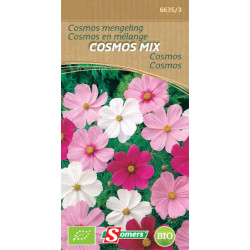 Semences Cosmos Mix Bio SOMERS – Fleurs Colorées | SOMERS