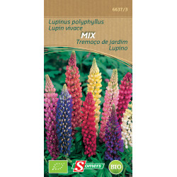 Semences Lupin Vivace Mix Bio SOMERS – Jardinage Facile | SOMERS