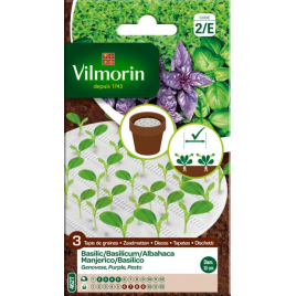 Semences de basilic 3 variétés VILMORIN