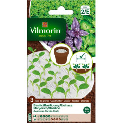 Semences Basilic 3 Variétés – Cultivez Facile | VILMORIN