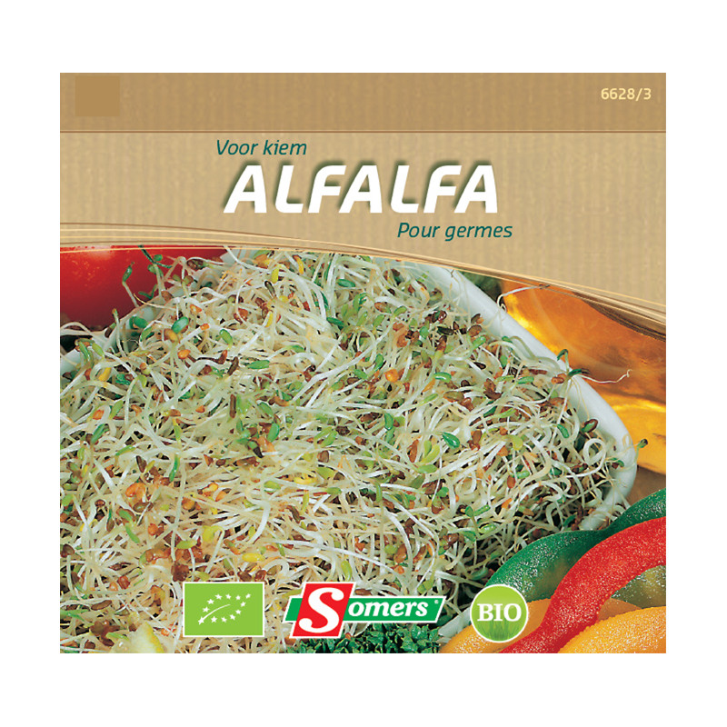 Semences de germes Alfalfa Bio SOMERS