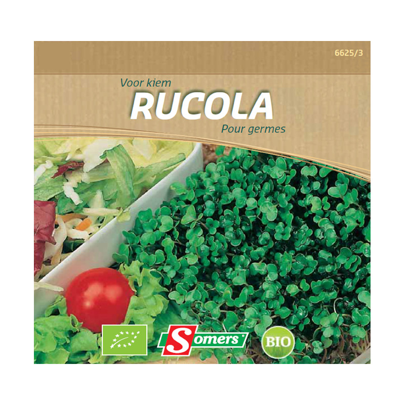 Semences de germes Rucola Bio SOMERS