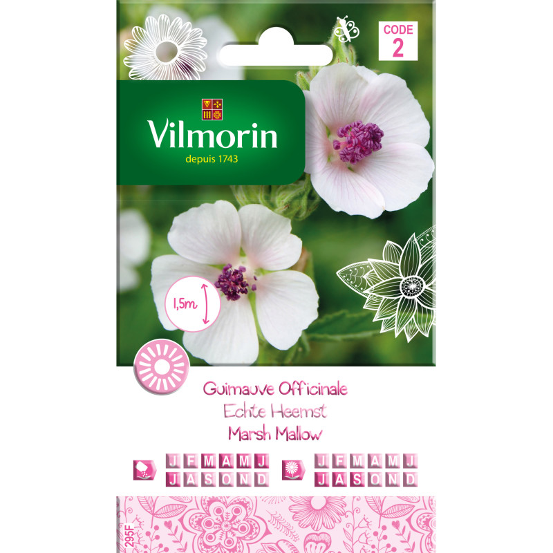 Semences de guimauve Officinale VILMORIN