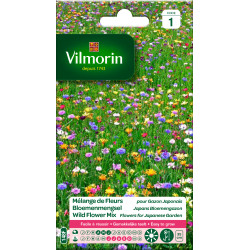 Semences Fleurs Annuelles Naines VILMORIN – Jardin Coloré | VILMORIN