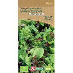 Semences Mesclun Bio SOMERS – Cultivez Fraîcheur | SOMERS