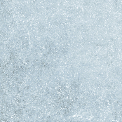 Carrelage de sol extérieur Pietra gris 60 x 60 cm 2 pièces COBO GARDEN
