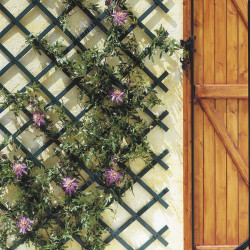 Treillis PVC Extensible Vert 0.5x1.5m – Support Idéal | NORTENE Treillis PVC Extensible Vert 0.5x1.5m – Support Idéal | NORTENE