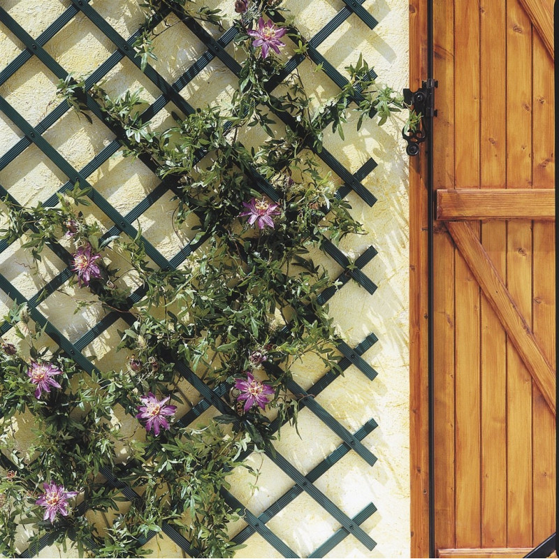 Treillis PVC Extensible Vert 0.5x1.5m – Support Idéal | NORTENE Treillis PVC Extensible Vert 0.5x1.5m – Support Idéal | NORTENE