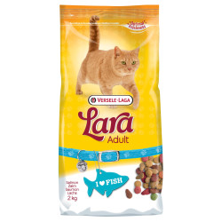 Sac de croquettes pour chat adulte au saumon 2 kg