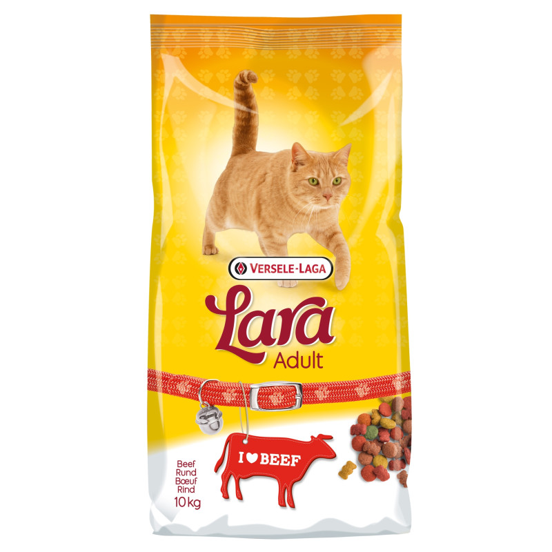 Sac de croquettes pour chat adulte