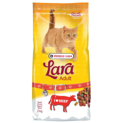 Sac de croquettes pour chat adulte au bœuf 2 kg