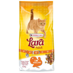 Sac de croquettes pour chat adulte