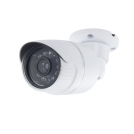 Caméra de surveillance factice aluminium CHACON