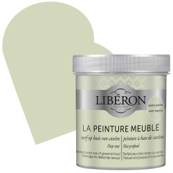 Peinture Meuble Caséine Vert Pastel – Rénovation Facile | LIBERON